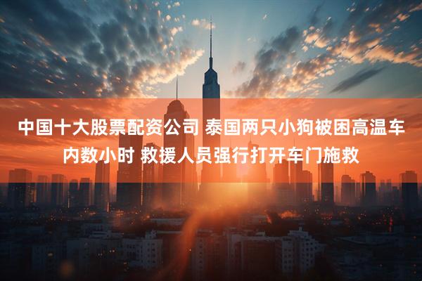 中国十大股票配资公司 泰国两只小狗被困高温车内数小时 救援人员强行打开车门施救